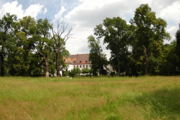 Schlosspark Triestewitz mit Heldbock- und Eremiteneichen